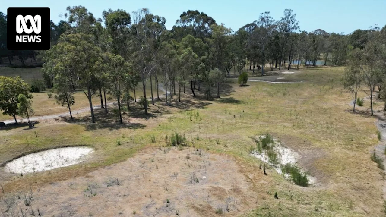 Minister plans to intervene on defunct Gold Coast golf course development to encourage affordable housing