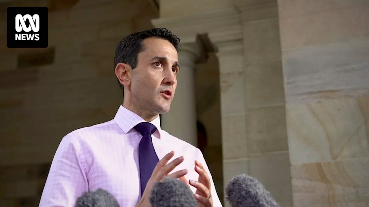 Opposition Leader David Crisafulli risks turning small-target strategy into big distraction ahead of Queensland budget