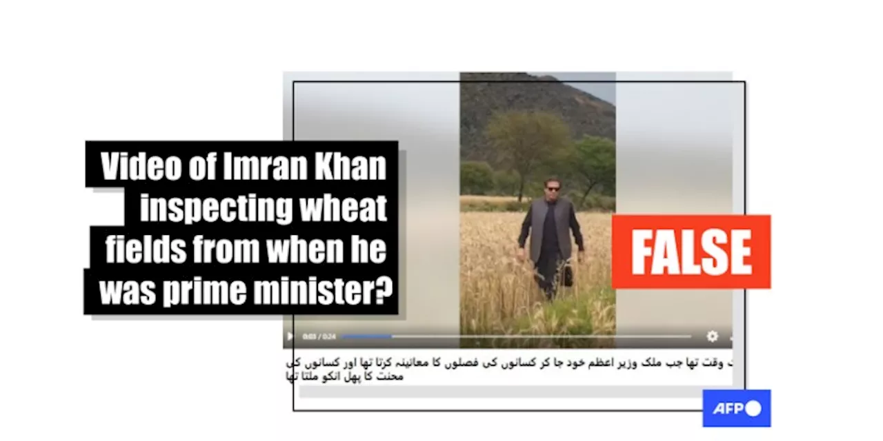 Imran Khan impersonator's video passed off as jailed ex-leader 'inspecting crops'