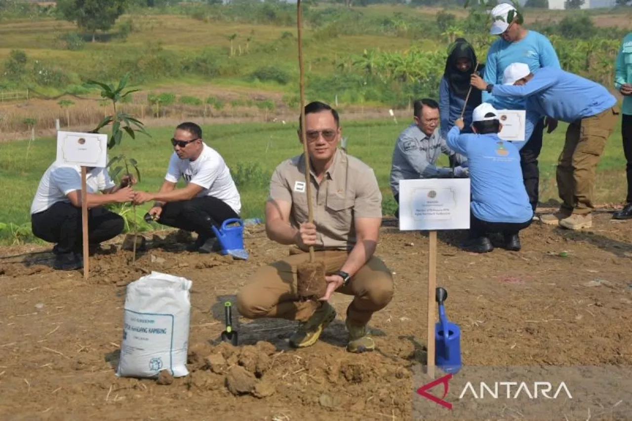 AHY pimpin tanam 100.000 pohon peringati Hari Lingkungan Hidup