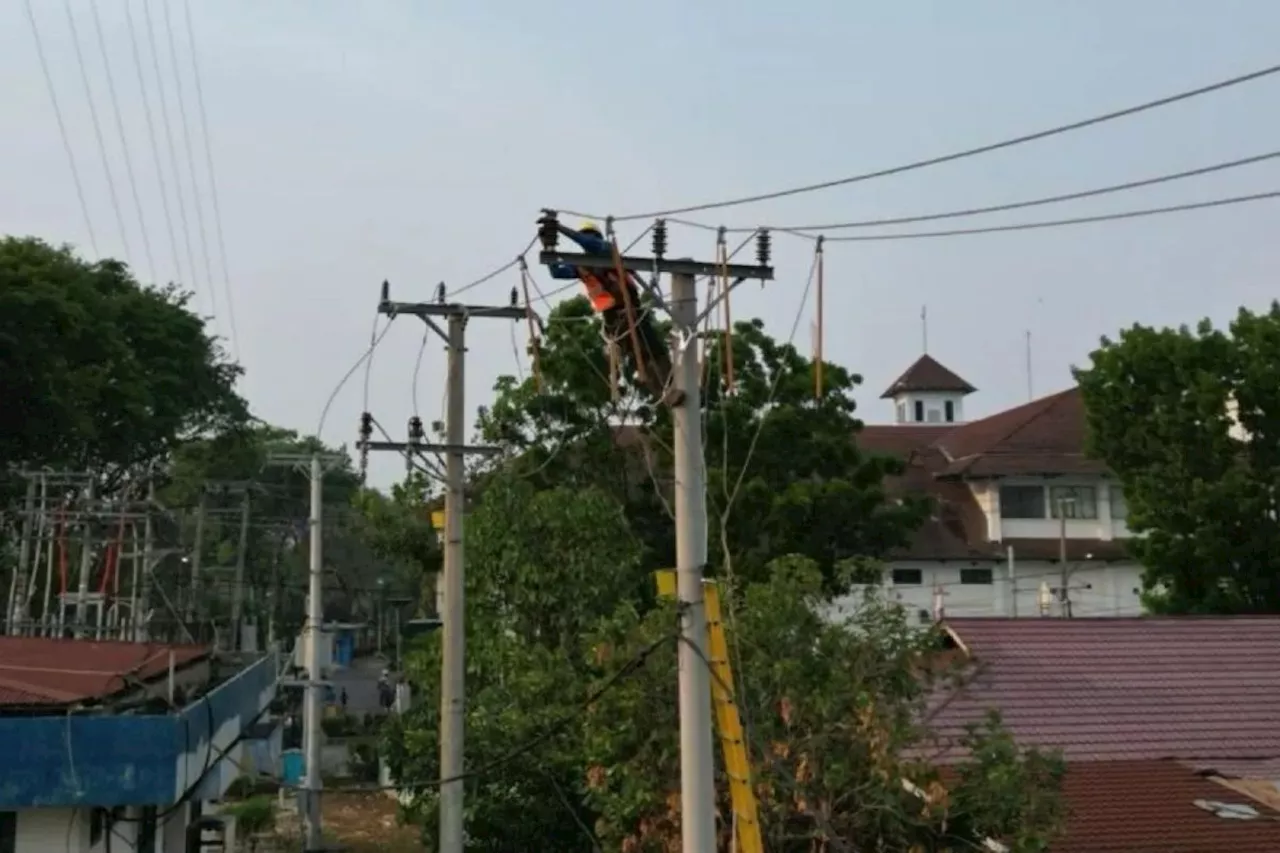 PLN masih cari penyebab gangguan transmisi SUTT 275 kV Linggau-Lahat