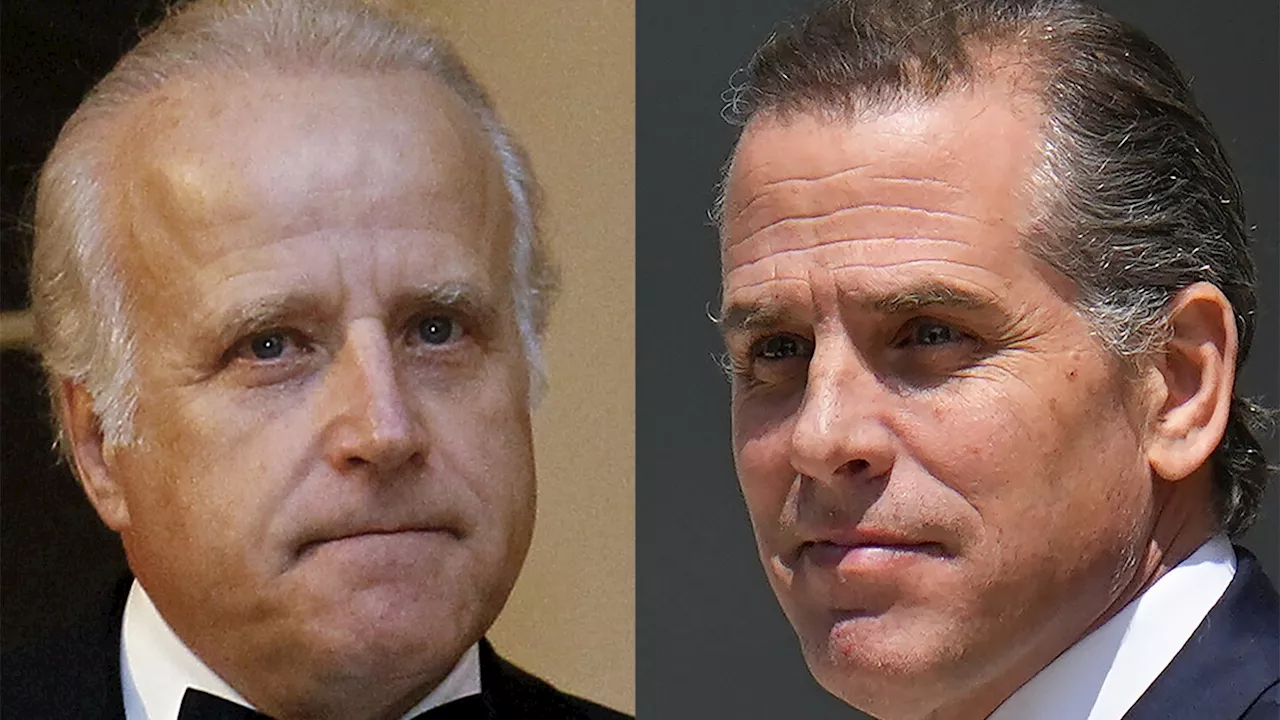 Republicans issue criminal referrals against Biden's son and brother