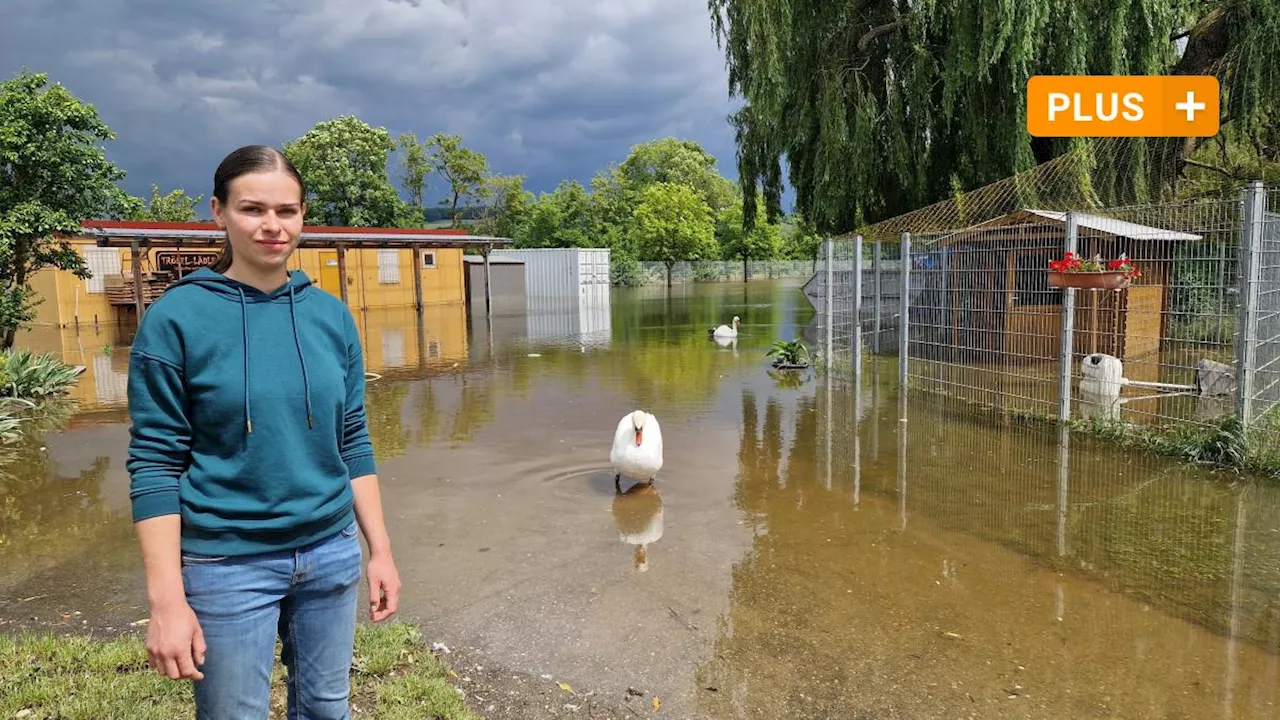 Hochwasser in Hamlar: Flut setzt Tierheim unter Wasser