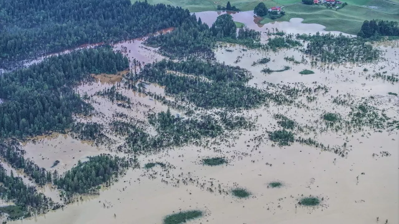 Hochwasser zerstört teilweise Futter und Ernte