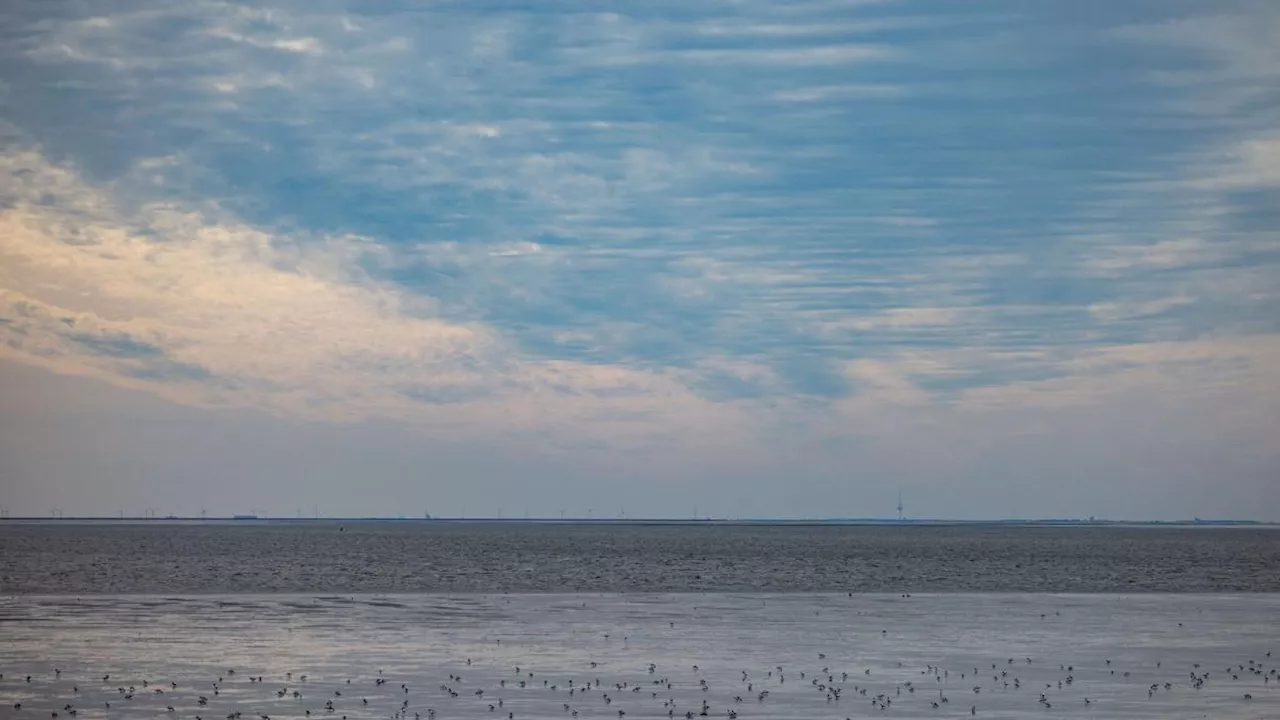 Temperatur der Nordsee auf Rekordhoch