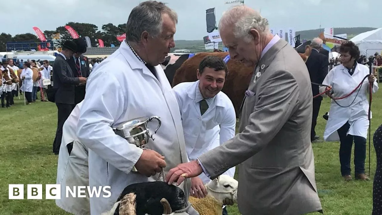 Brothers battle it out for sheep glory at Royal Cornwall Show