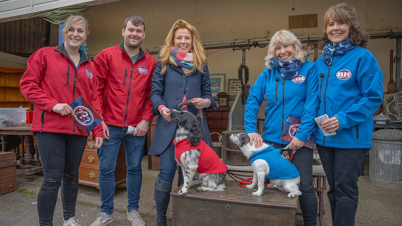 Pets, volunteers and veterans celebrated in three brand new themed episodes of Bargain Hunt