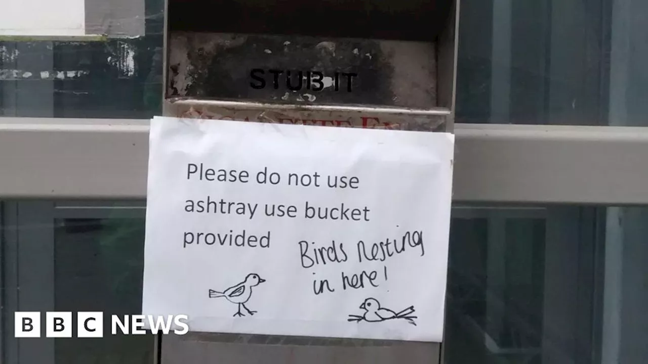 Smokers butt out as birds nest in Norwich cigarette bin