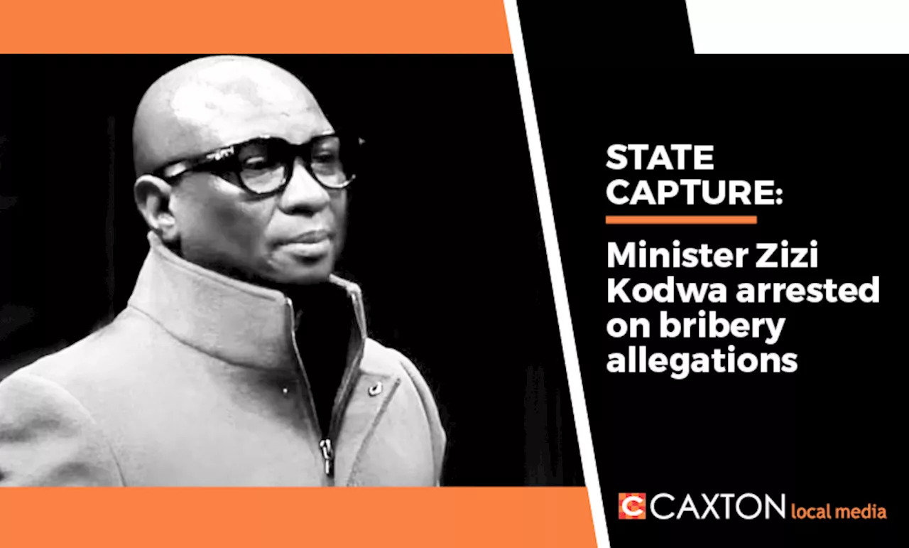 Watch: Minister Zizi Kodwa granted bail after arrest related to state capture