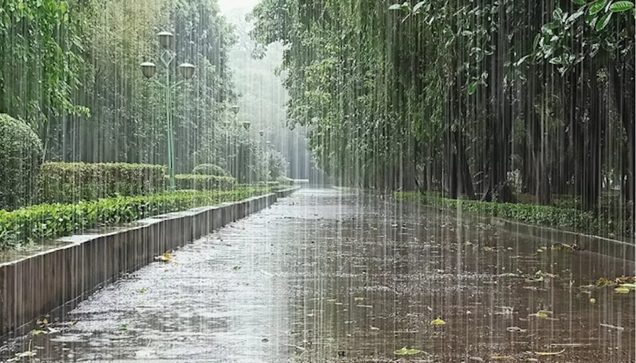 More rains, gusty winds likely in Peshawar, Khyber Pakhtunkhwa