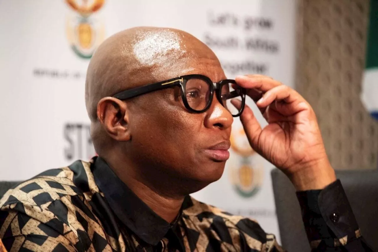 Zizi Kodwa resigns as Sports, Arts and Culture Minister