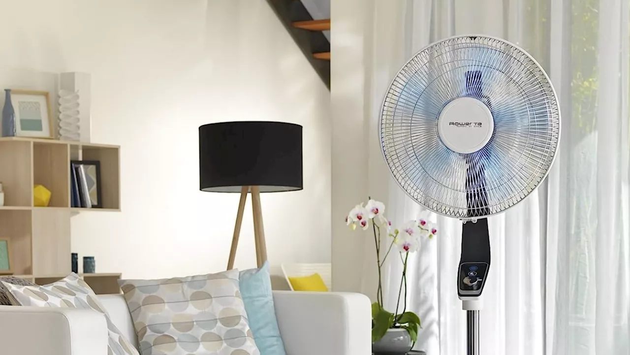 Préparez le retour des grandes chaleurs avec ce ventilateur Rowenta en promo à 79 €