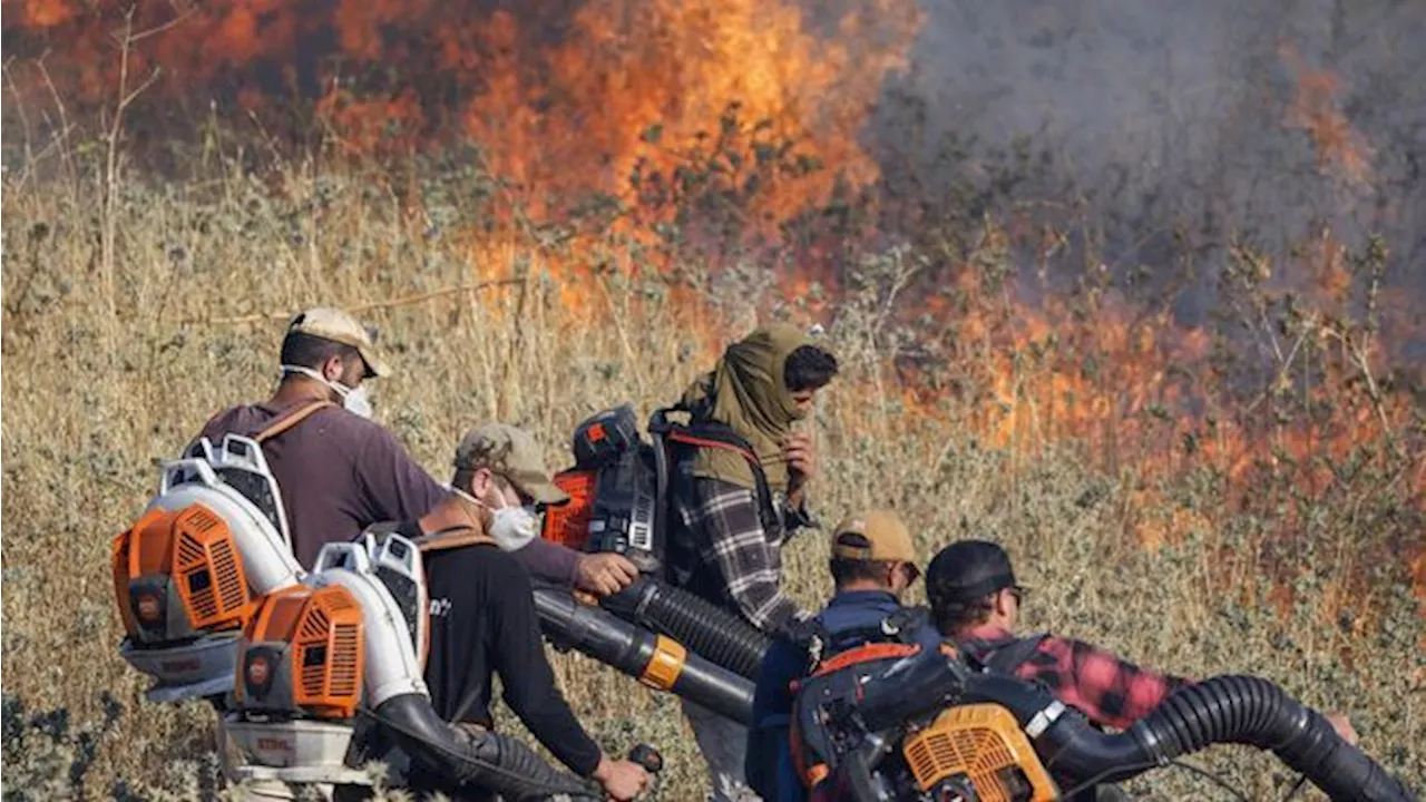 Israel Kelabakan, 2.500 Hektar Lahan Hangus Kena Rudal Hizbullah