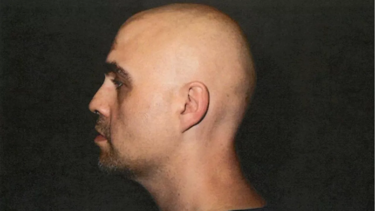 Admitted serial killer Jeremy Skibicki not suffering from schizophrenia: forensic psychiatrist