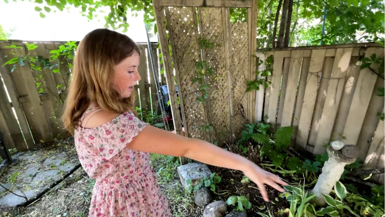 An 11-year-old Ottawa girl wants to change the rules around backyard chickens