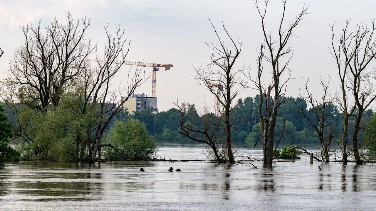 Gesperrte Zugstrecken, Tausende Evakuierte: Wo sich die Hochwasserlage entspannt und wo nicht