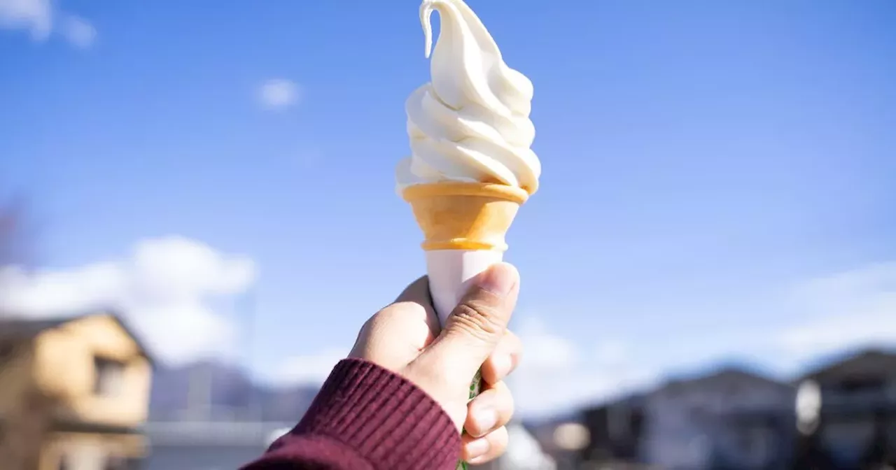 Woman travels 150 miles for ice cream that's gone viral on TikTok