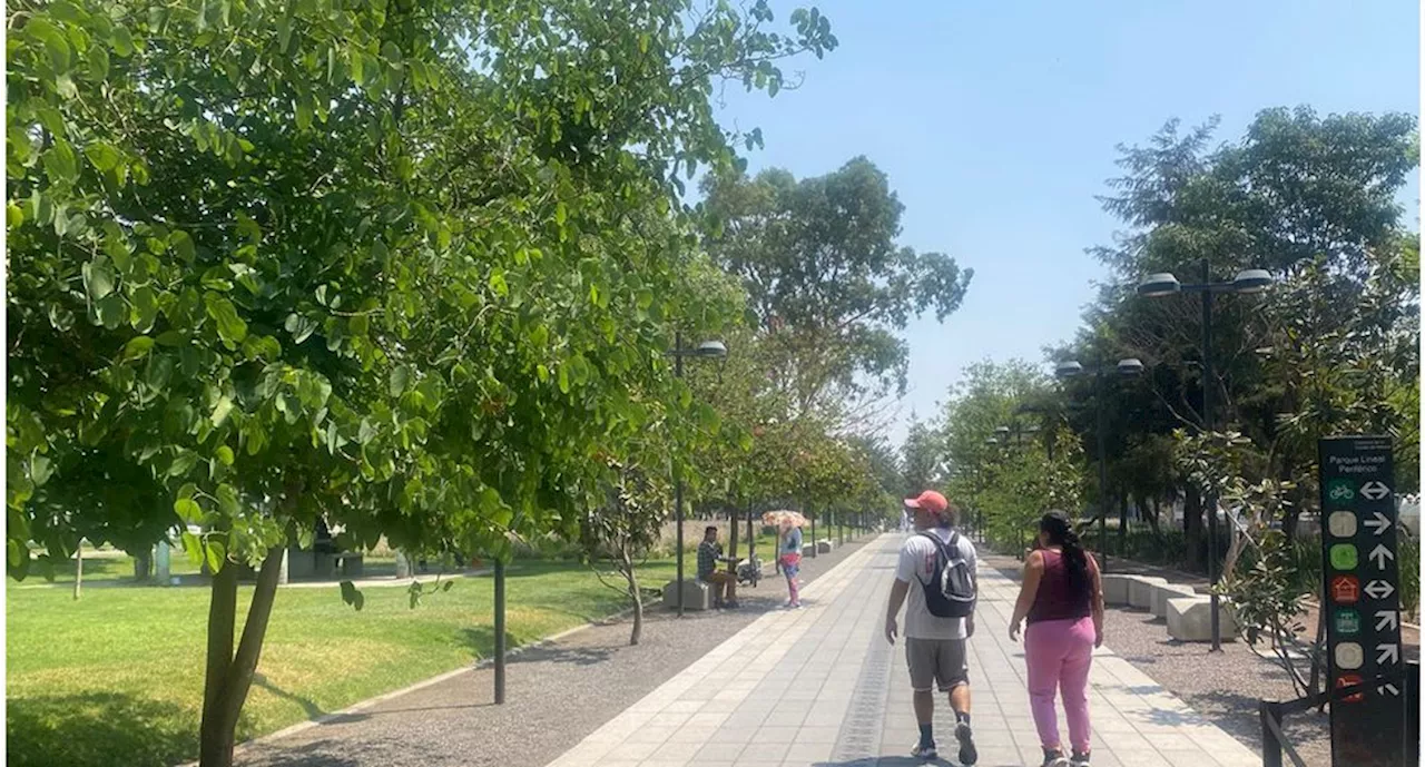 Declaran áreas de valor ambiental a 6 parques ubicados en distintas alcaldías de la CDMX