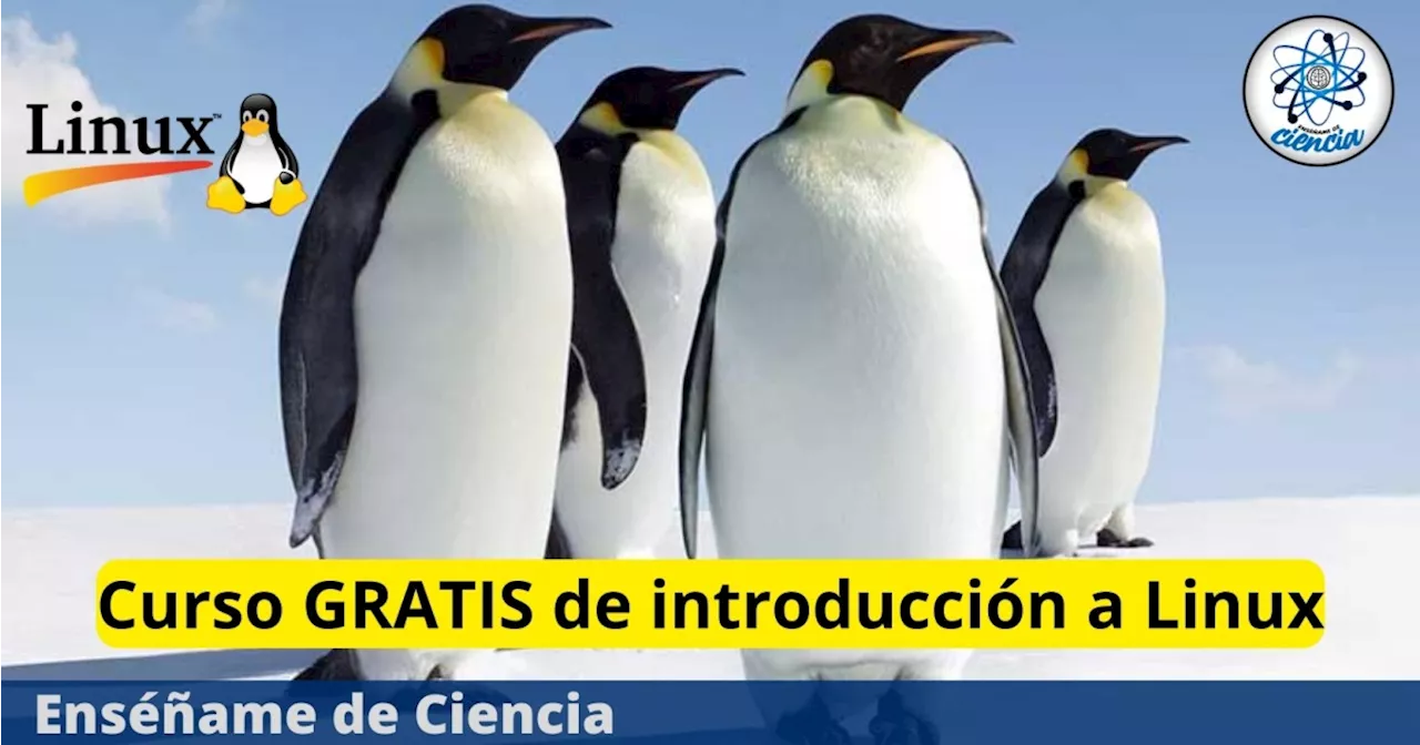 Lanzan curso gratuito de “Introducción a Linux”, imparte Universidad Politécnica de Valencia