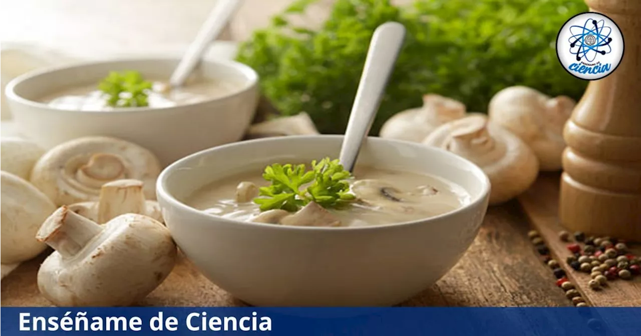 Prepara con esta receta una crema de champiñones, una crema con una consistencia sabrosa