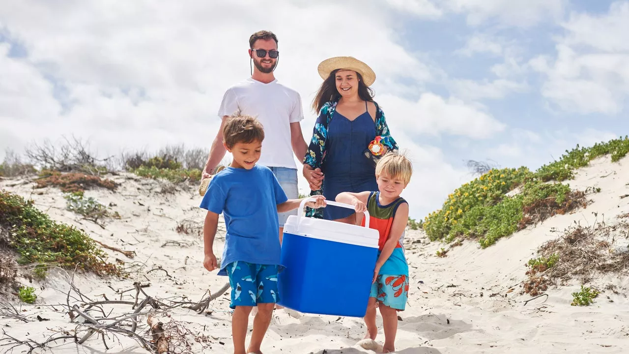 The Best Amazon Deals on Coolers for Summer: Shop Coleman, Igloo, Stanley and More