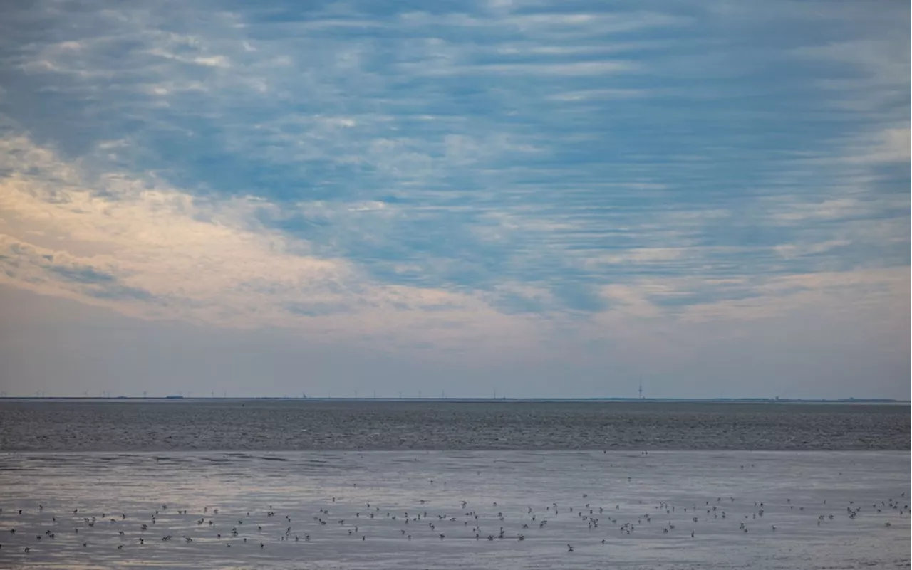 Nordsee: Kachelmann warnt vor „grotesk hohe Wassertemperaturen“