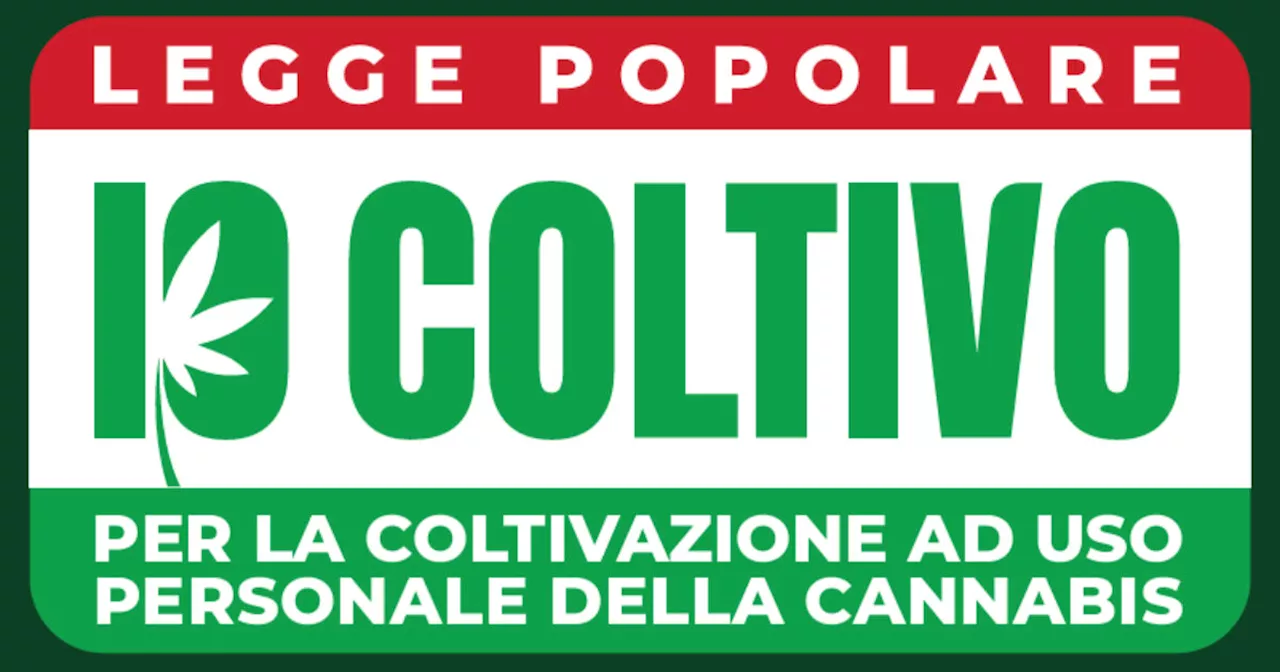 Cannabis, consegnate 55mila firme in Senato per la legge di iniziativa popolare sulla legalizzazione della…