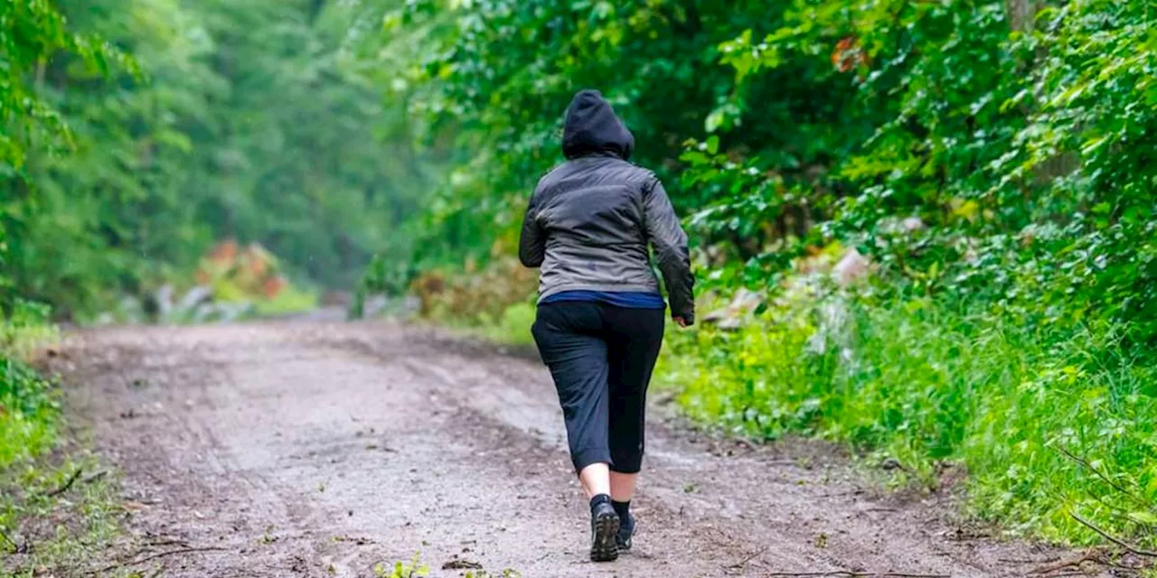 Aggressiver Bussard greift Joggerin an: Vogel-Kenner erklärt Attacken von hinten