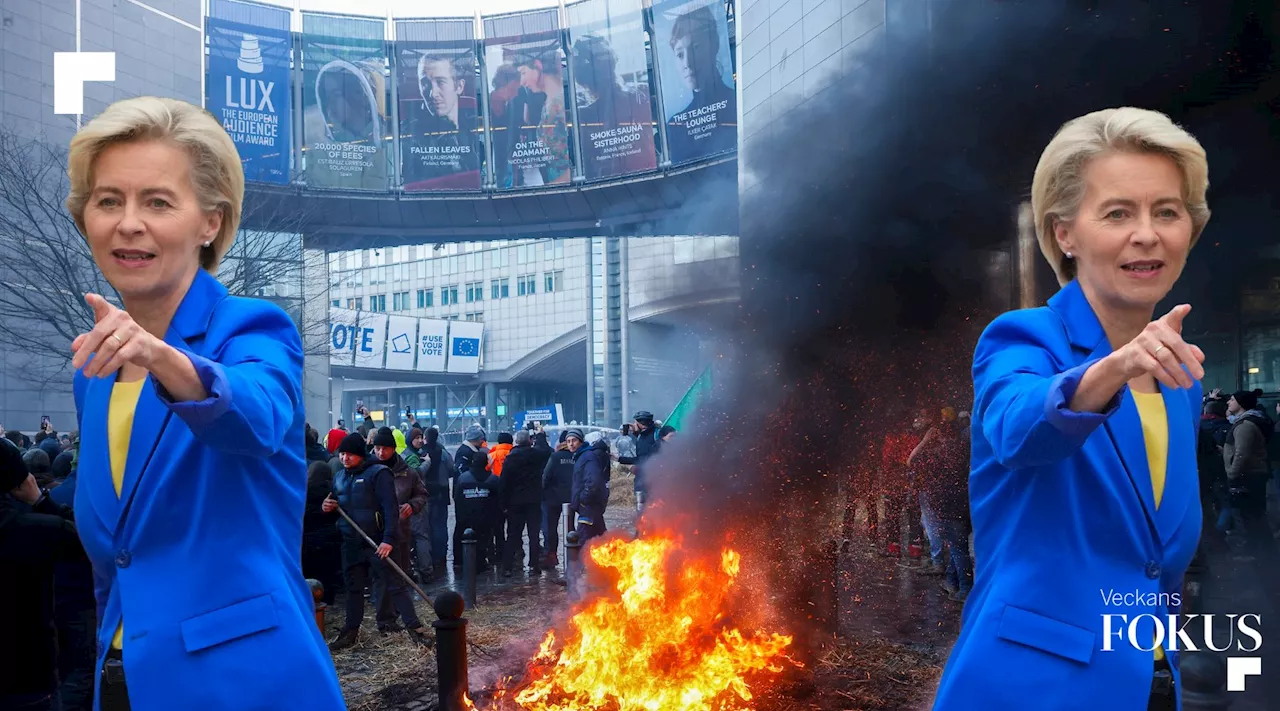 Därför är EU på kollisionskurs med sig själv