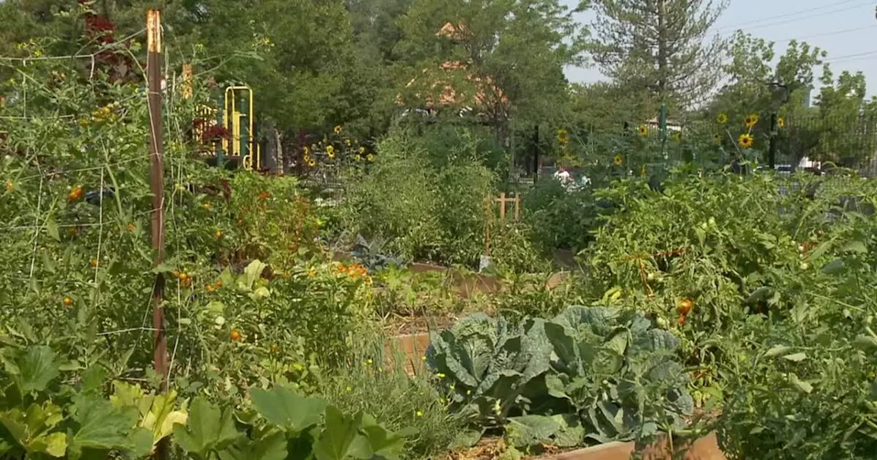 Wasatch Community Gardens moving urban farm two miles down the road