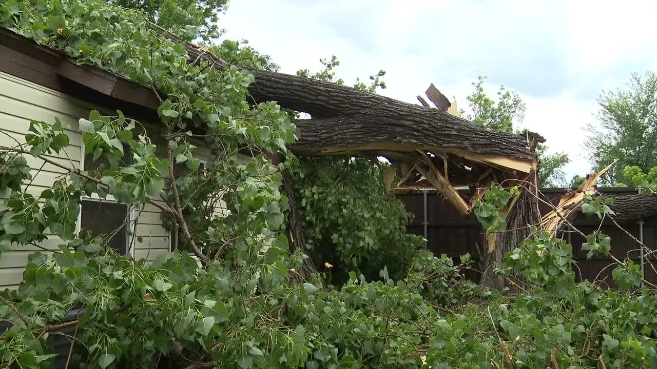 Dallas County storm damage: How you can apply for FEMA assistance