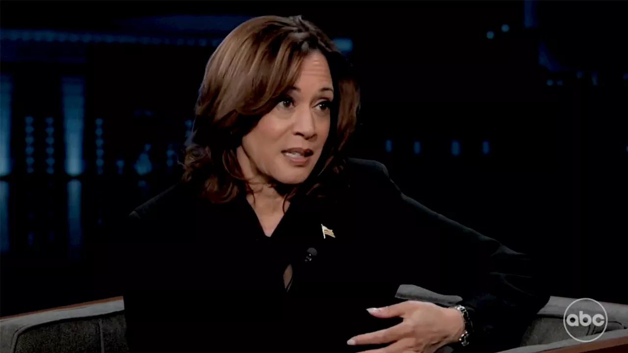 Kamala Harris dunks on Trump following conviction: 'Cheaters don't like getting caught'