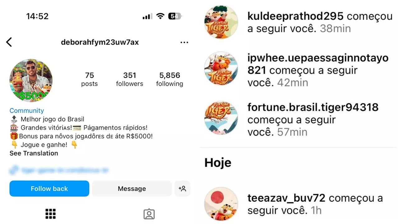 Contas de 'jogo do tigrinho' inundam Instagram e incomodam usuários; entenda