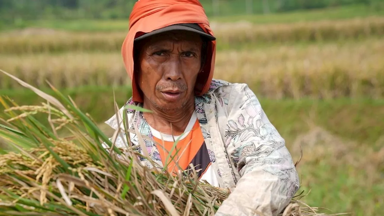 BPS Kaji Alat Ukur Baru untuk Mendeteksi Kesejahteraan Petani