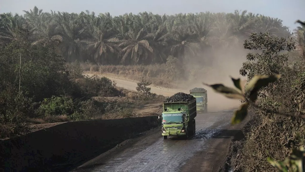 Perizinan Jadi Pintu Masuk Kejahatan Lingkungan dan Korupsi Bidang Sumber Daya Alam