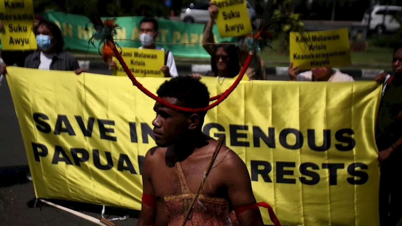 Traces of the Papuan Indigenous People's Journey in Saving Their Forests