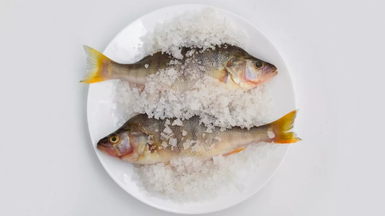 Estos son los 6 alimentos que nunca debes meter a congelar para no arruinar su sabor