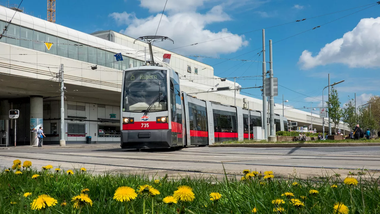 900 Wohnungen & Park über der Remise Kagran