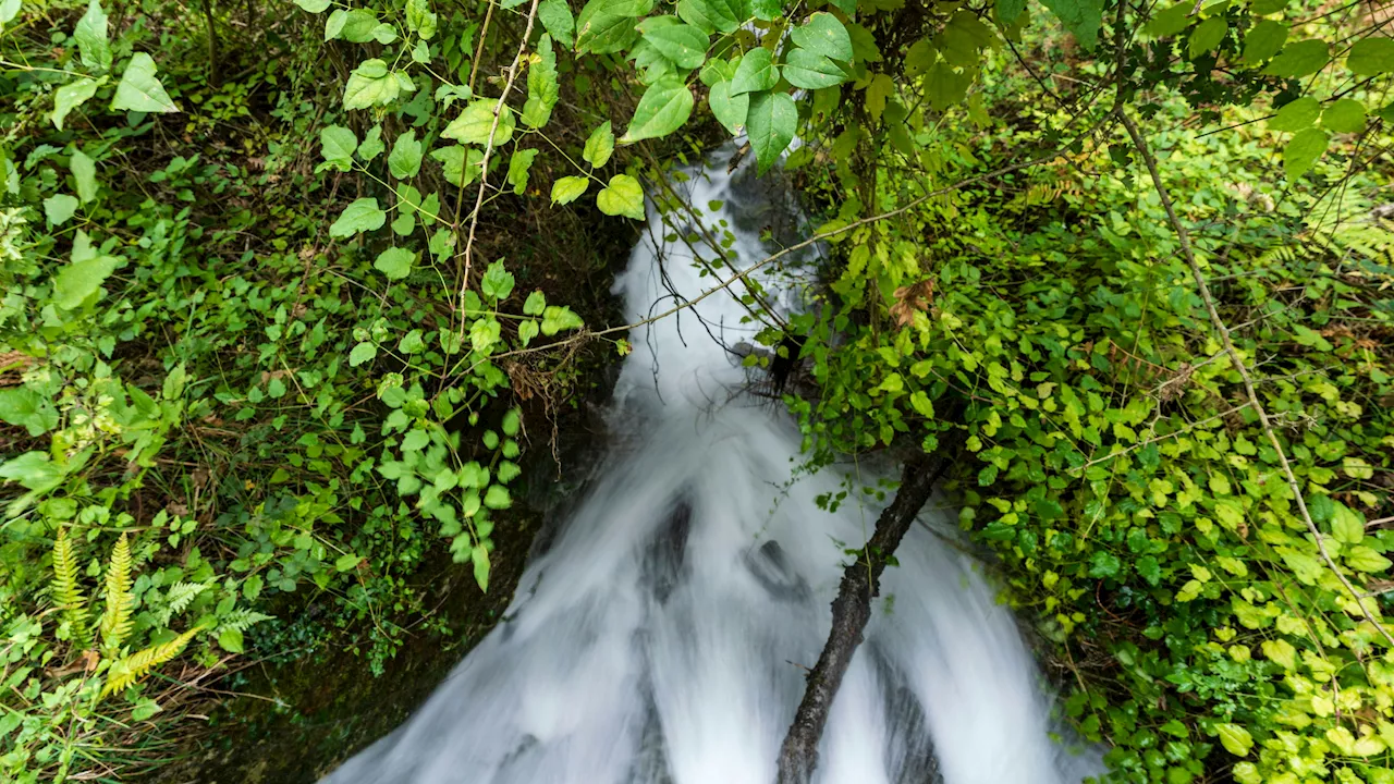 Klimawandel erwärmt Grundwasser, Trinkwasser in Gefahr