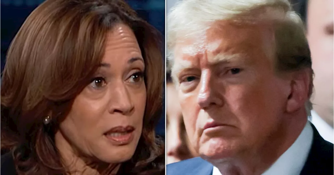 Kamala Harris Smacks Trump With Blunt Reality Check Over 'Cheaters'