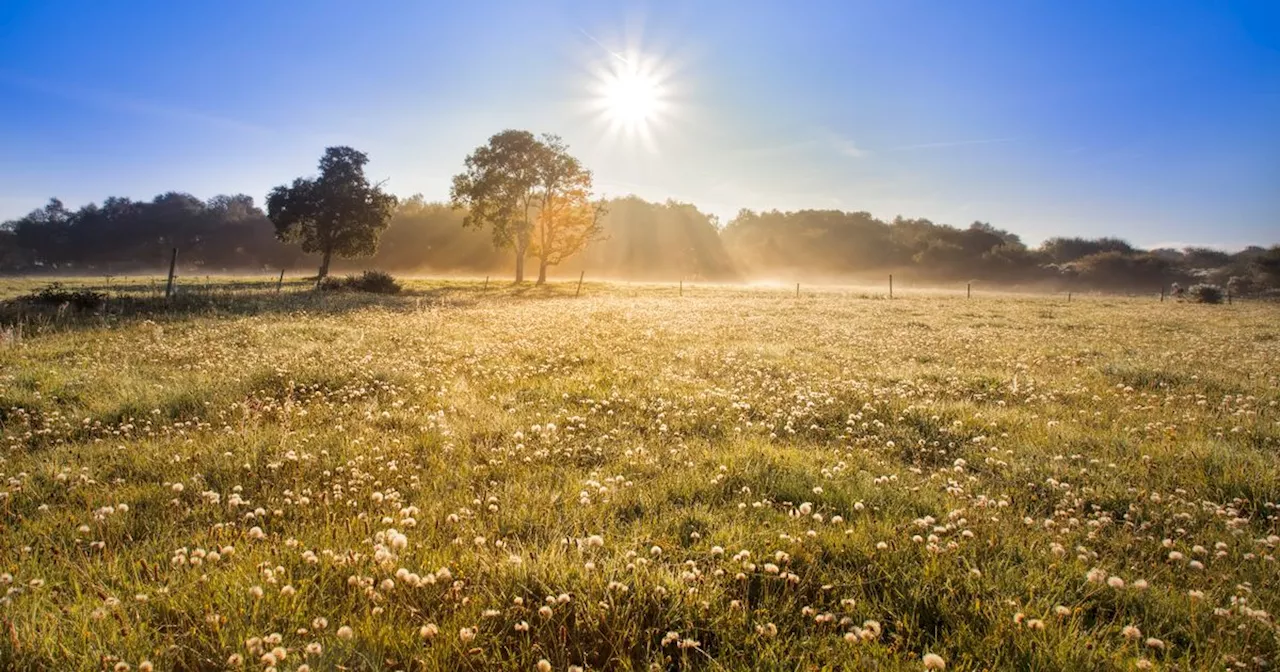 Met Eireann confirms last month was the warmest May on record in Ireland