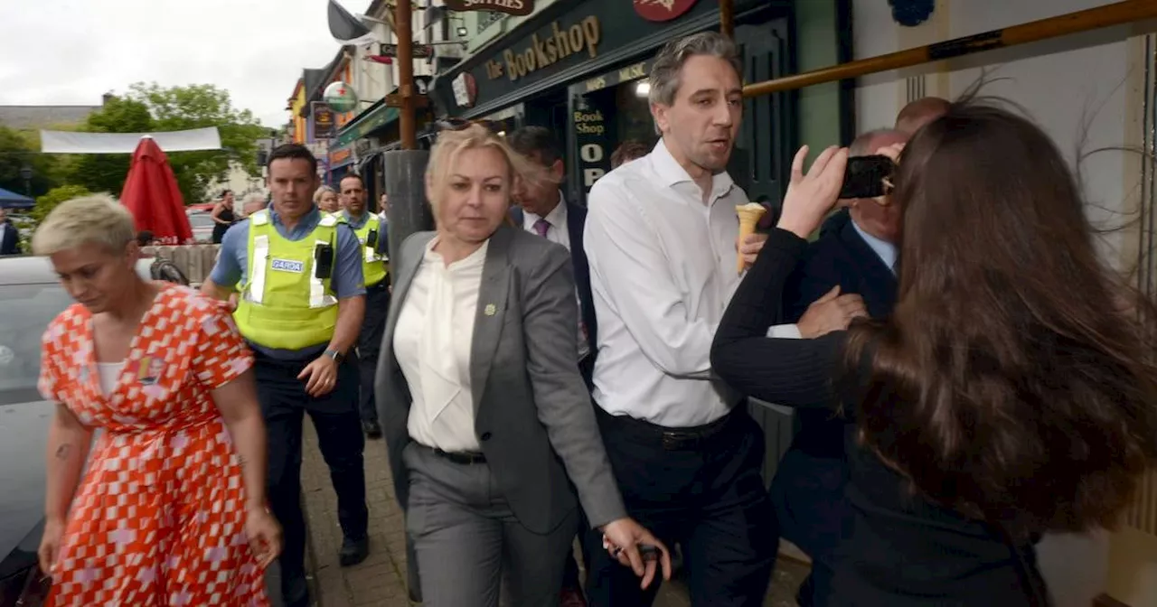 The chasing and jostling of Simon Harris blurred the line between protest and harassment