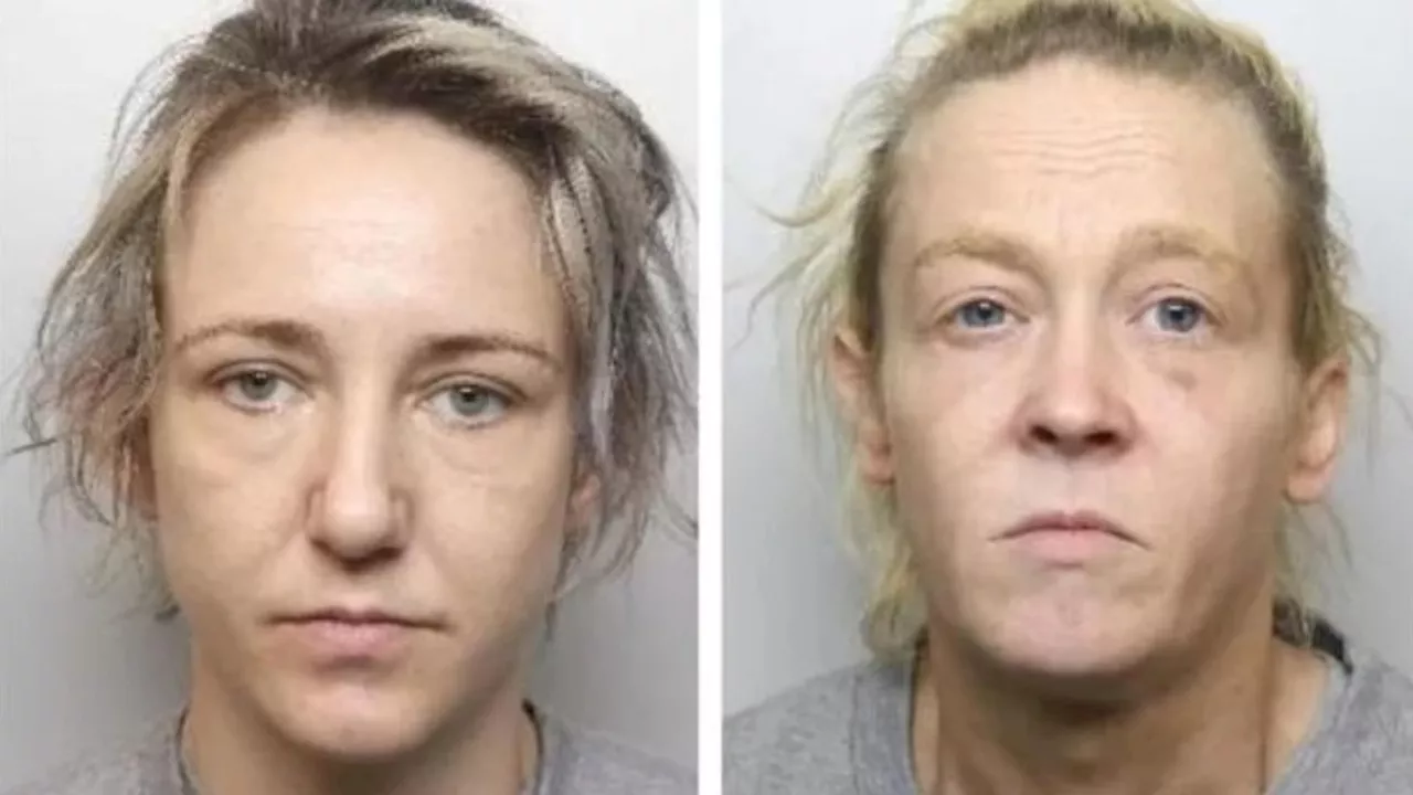 Women who tortured Sheffield man to death after false paedophile claim jailed