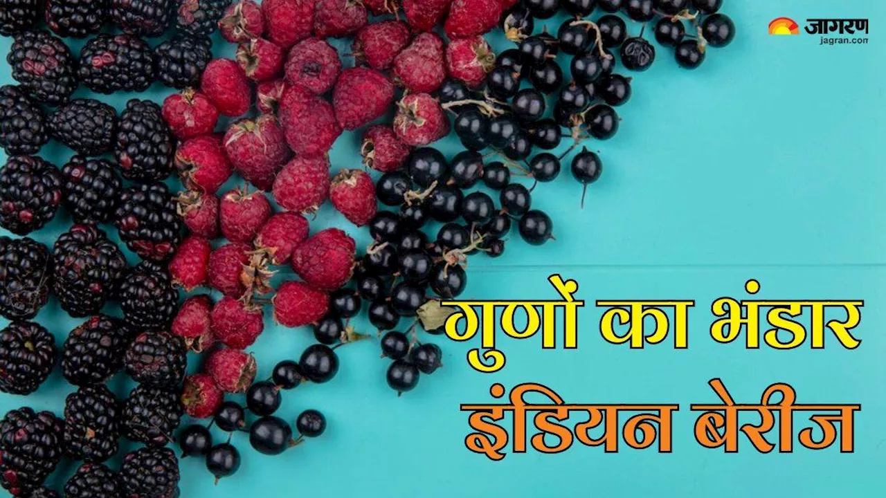 स्वाद से भरपूर गुणों का खजाना हैं ये 6 Indian Berries, खाने से सेहत को मिलते हैं ढेरों फायदे