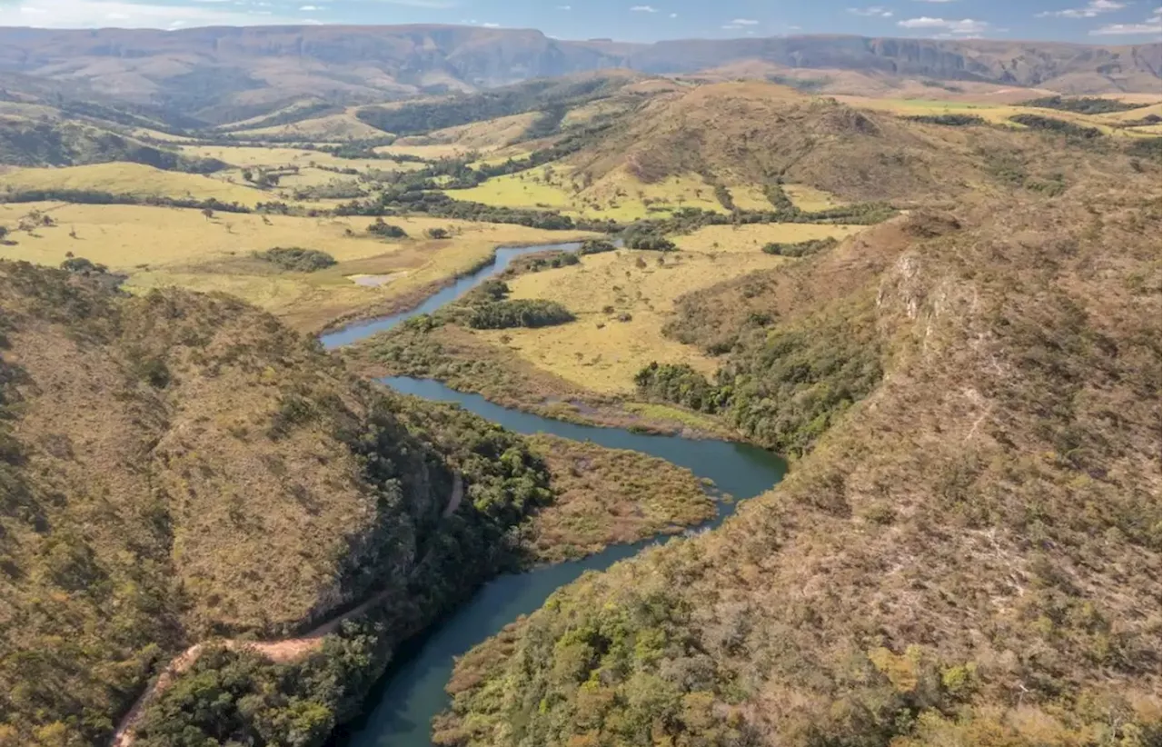 Cientista explica por que é preciso frear desmatamento no Cerrado para não faltar água no Brasil