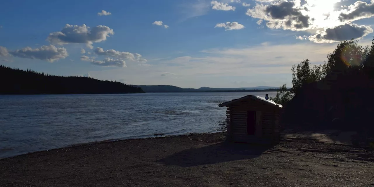 Yukon River Fishery Update says chum salmon will be available for harvest