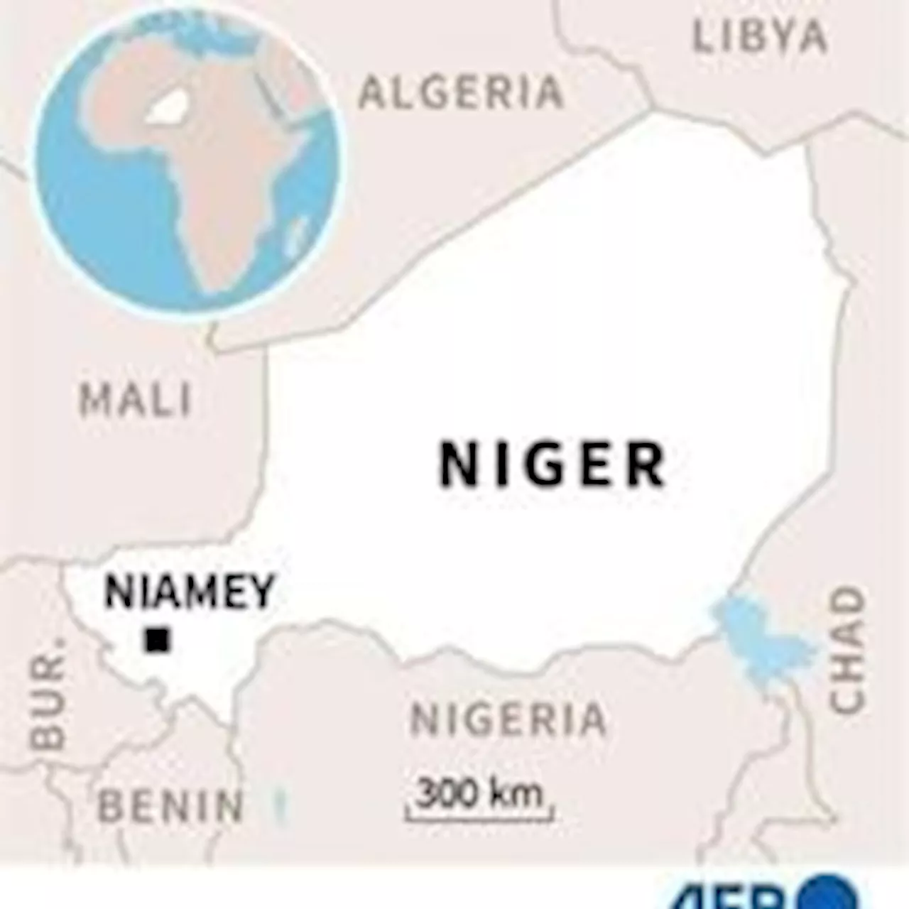 Niger to set up protection force for 'strategic' sites