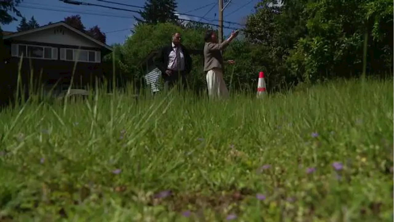 Bellevue homeowner fights to save cherished trees from stormwater project