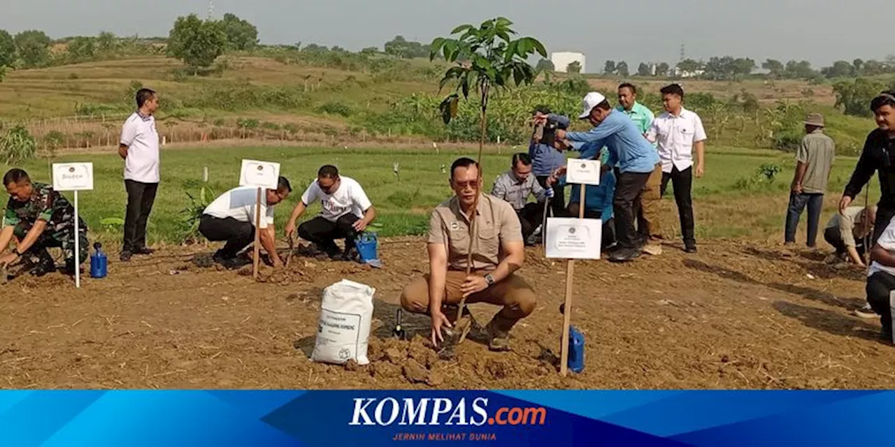 100.000 Pohon Ditanam untuk Peringati Hari Lingkungan Hidup Sedunia