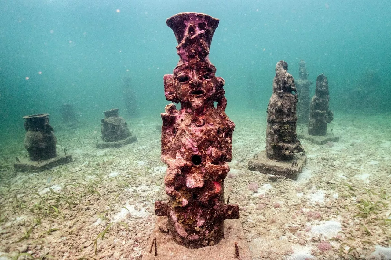 En Colombie, un étrange musée sous-marin pour protéger les coraux des Caraïbes
